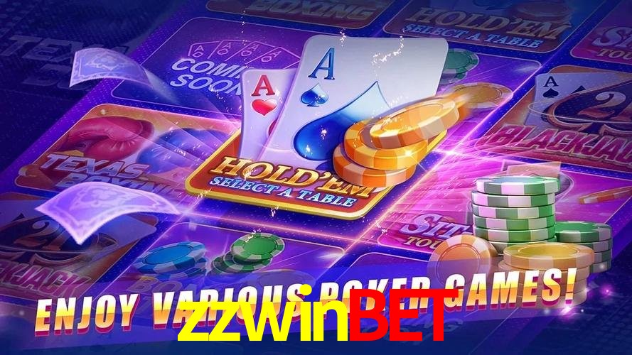 zzwin.com